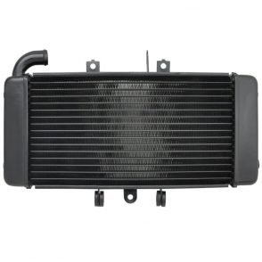 Yamaha FZ400 Radiator
