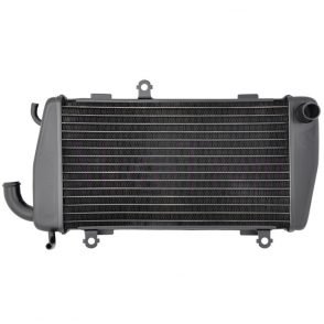 Honda Goldwing GL1800 Radiator