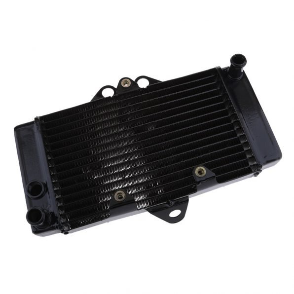 Radiator For Honda VTR250 01-07