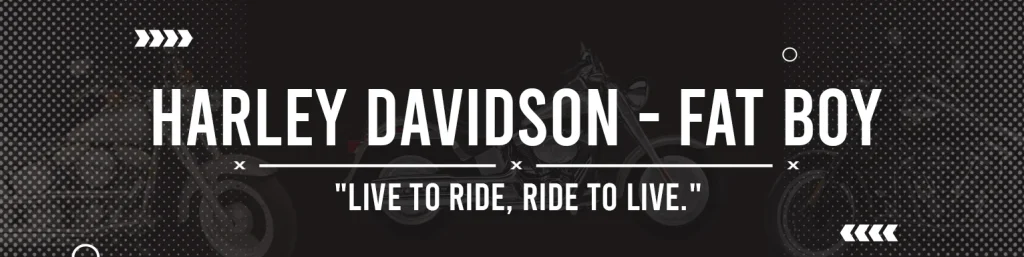HARLEY-DAVIDSON Fat Boy
