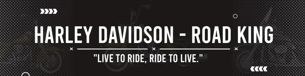 HARLEY-DAVIDSON Road King