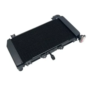 Kawasaki Ninja 400 Radiator 2018-2023