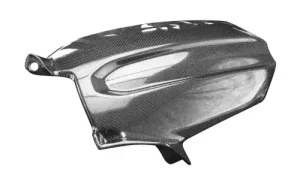 Triumph Speed Triple 1200 RS Rear Fender 2018–2023