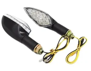 Triumph TT 600 Indicators 2000–2003