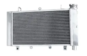 Triumph TT 600 Radiator 2000–2003