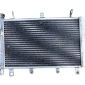Triumph TT 600 Radiator 2000–2003