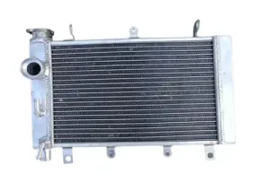 Triumph TT 600 Radiator 2000–2003