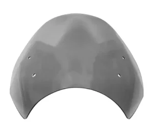 BMW R 1150R Windscreen 2001-2005 Gray