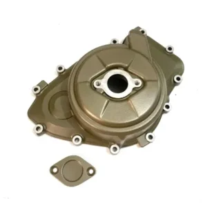 Ducati Panigale V4 Stator Cover 2018-2023