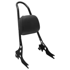 Harley Davidson Iron XL 883N Rear Backrest 2009-2020