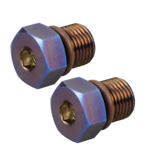 Harley-Davidson Electra Glide Ultra Classic Screamin Eagle Anniversary FLHTCUSE3 Magnetic Oil Drain Plug 2008 Blue