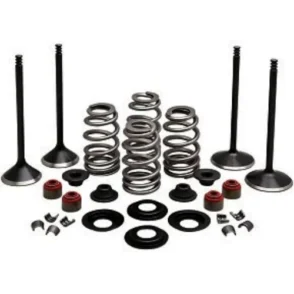 Harley-Davidson DYNA Super Glide FXD Kibblewhite Valve Engine Kit 2000-2005