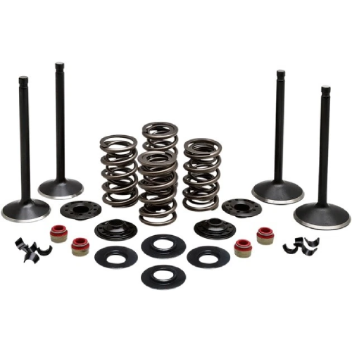 Harley-Davidson DYNA Wide Glide Anniversary FXDWG Kibblewhite Diamond Complete Engine Valve Kit 2003