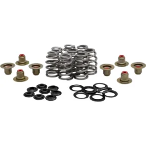 Harley-Davidson Electra Glide Highway King FLHFB Kibblewhite Beehive Racing Valve Spring Kit 2023