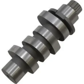 Harley-Davidson Street Bob FXBBS 114 Chain Drive Cam 2021-2022