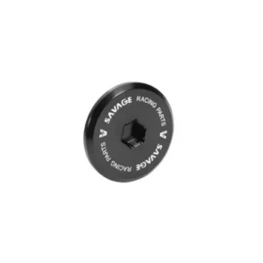 Yamaha MT-09 Engine Crankcase Plug Cap Cover 2025