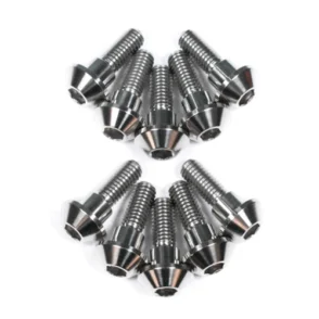 Yamaha MT-09 Front Brake Disc Rotor Bolts 2024-2025