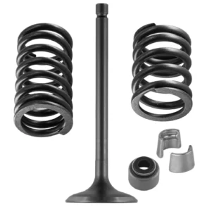 Yamaha XT250 Intake Valve Kit 2010-2022