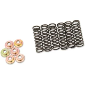 Yamaha FZ-09 Clutch Springs 2014-2015