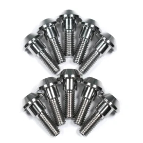 Yamaha XSR900 Front Brake Disc Rotor Bolts 2025