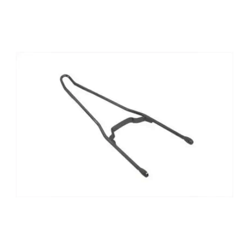 Harley-Davidson CVO Pan America RA1250SE Sissy Bar 2024
