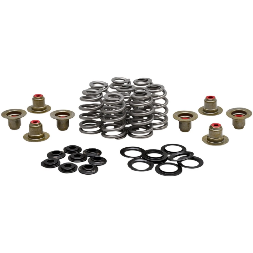 Harley-Davidson Freewheeler FLRT Kibblewhite Valve Spring Kit 2023-2025
