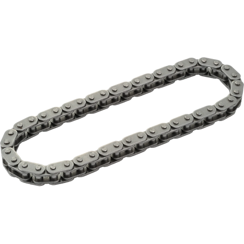 Harley-Davidson Low Rider ST FXLRST 117 Primary Cam Chain 2022