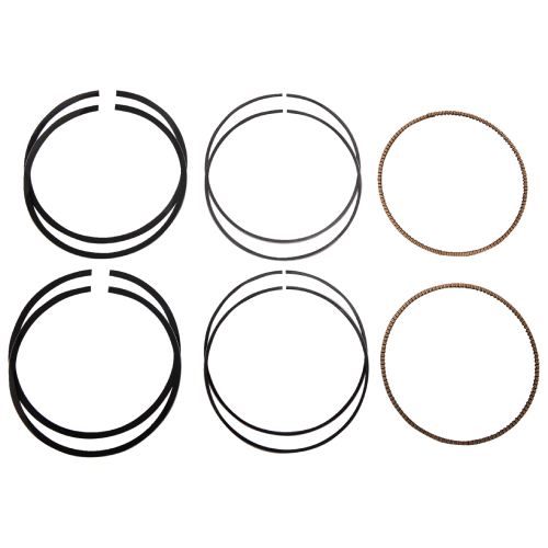 Harley-Davidson Softail Standard FXST 107 Piston Ring Set 2020-2024