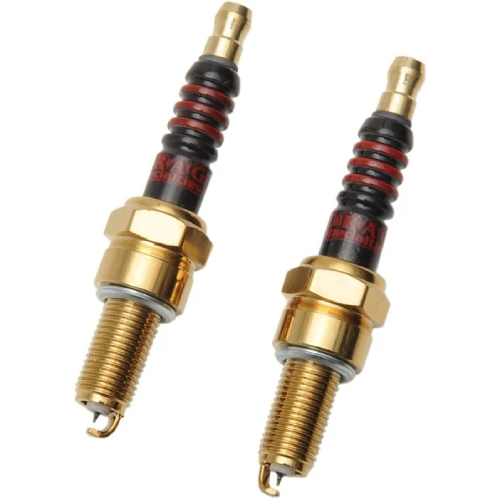 Harley-Davidson FLHX Street Glide DS Iridium Spark Plugs 2024